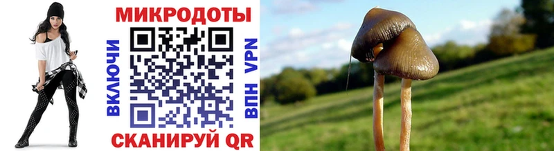 Галлюциногенные грибы MAGIC MUSHROOMS  Алатырь 